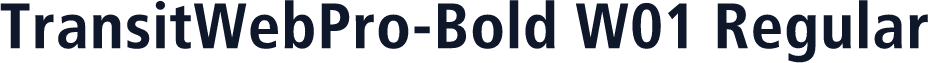 TransitWebPro-Bold W01 Regular