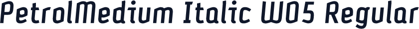 PetrolMedium Italic W05 Regular