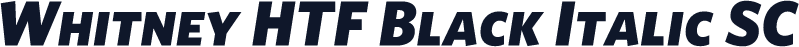 Whitney HTF Black Italic SC