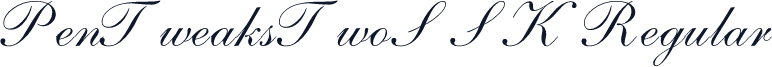 PenTweaksTwoSSK Regular