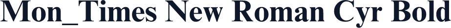 Mon_Times New Roman Cyr Bold