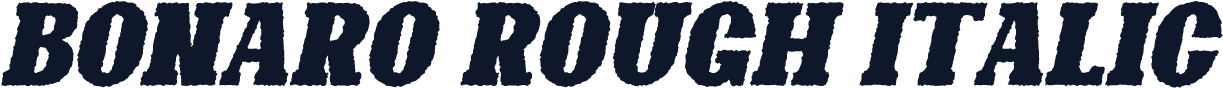 Bonaro Rough Italic