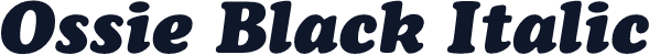 Ossie Black Italic