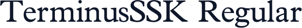 TerminusSSK Regular