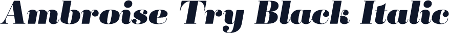 Ambroise Try Black Italic