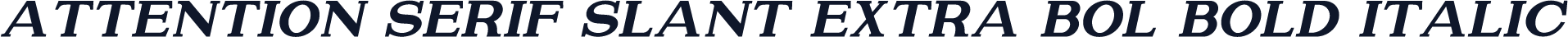 Attention Serif Slant Extra Bol Bold Italic
