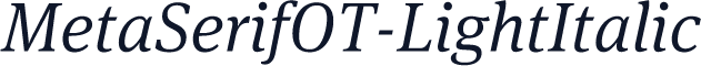 MetaSerifOT-LightItalic