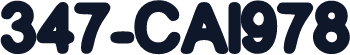 347-CAI978