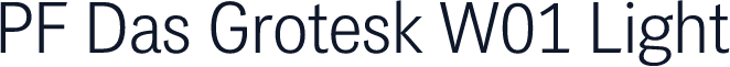 PF Das Grotesk W01 Light