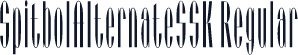 SpitbolAlternateSSK Regular