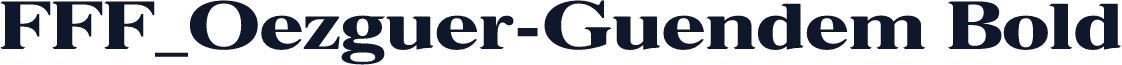 FFF_Oezguer-Guendem Bold