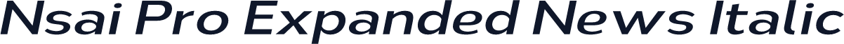 Nsai Pro Expanded News Italic