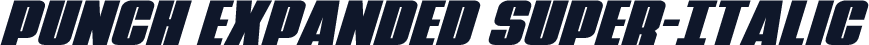 Punch Expanded Super-Italic