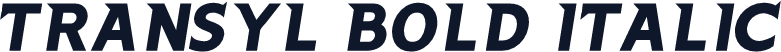Transyl Bold Italic