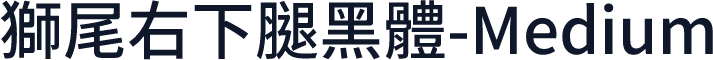 獅尾右下腿黑體-Medium