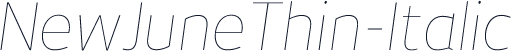NewJuneThin-Italic