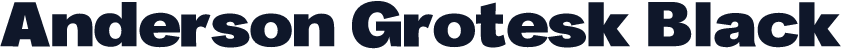 Anderson Grotesk Black