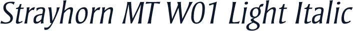 Strayhorn MT W01 Light Italic