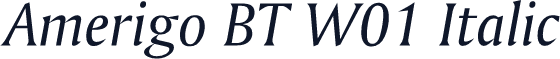 Amerigo BT W01 Italic