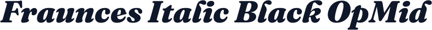 Fraunces Italic Black OpMid