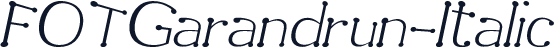 FOTGarandrun-Italic