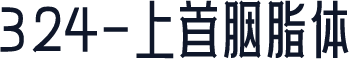 324-上首胭脂体