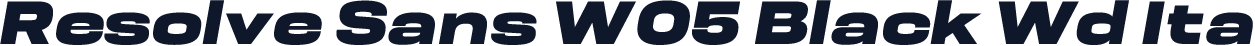 Resolve Sans W05 Black Wd Ita