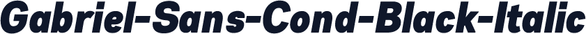Gabriel-Sans-Cond-Black-Italic