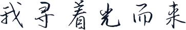我寻着光而来