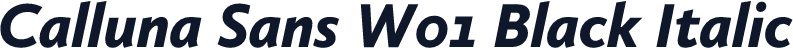 Calluna Sans W01 Black Italic