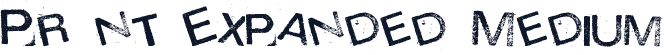 Prﾟnt Expanded Medium
