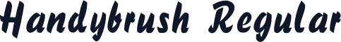 Handybrush Regular