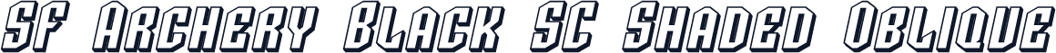 SF Archery Black SC Shaded Oblique