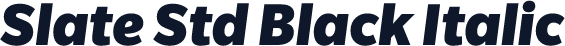 Slate Std Black Italic