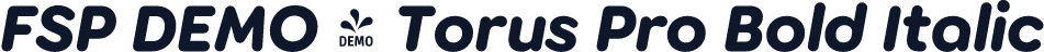 FSP DEMO - Torus Pro Bold Italic