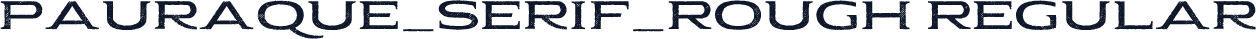 Pauraque_Serif_Rough Regular