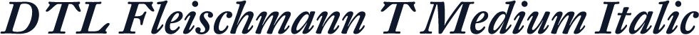 DTL Fleischmann T Medium Italic