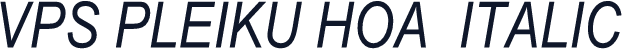 VPS Pleiku Hoa  Italic
