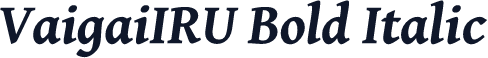 VaigaiIRU Bold Italic
