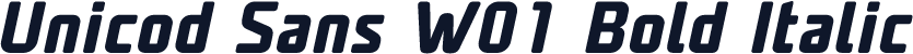 Unicod Sans W01 Bold Italic