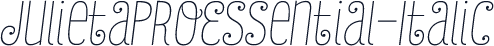 JulietaProEssential-Italic