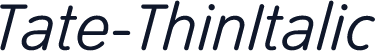 Tate-ThinItalic