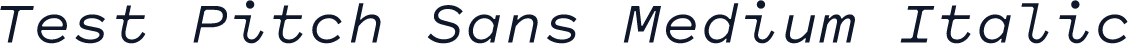Test Pitch Sans Medium Italic