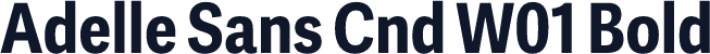 Adelle Sans Cnd W01 Bold