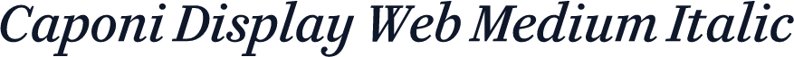 Caponi Display Web Medium Italic