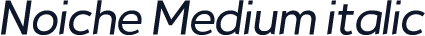 Noiche Medium italic
