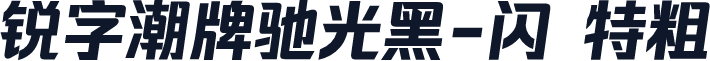 锐字潮牌驰光黑-闪 特粗