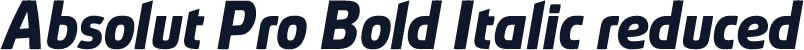 Absolut Pro Bold Italic reduced