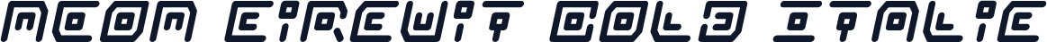 Neon Circuit Bold Italic