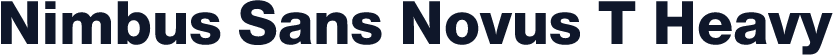 Nimbus Sans Novus T Heavy